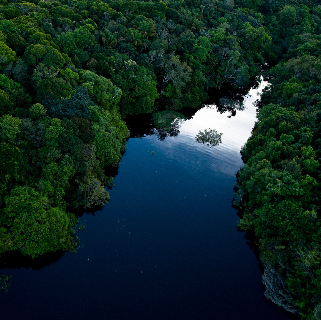 GettyImages-1324374513