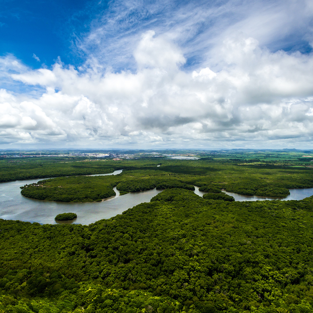 GettyImages-655887320